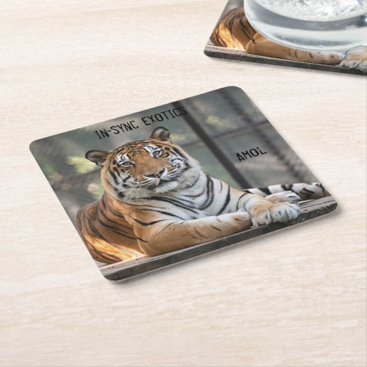 Amol - rechteckiger pappuntersetzer (angewinkelt)