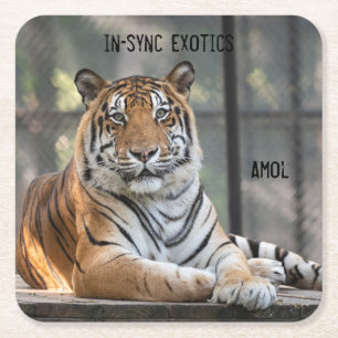 Amol - rechteckiger pappuntersetzer