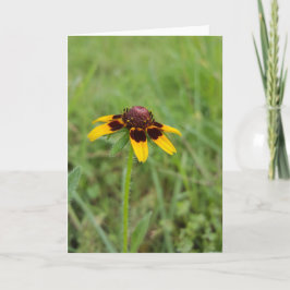 Among the Wildflowers Notecards (Blank Inside) Karte