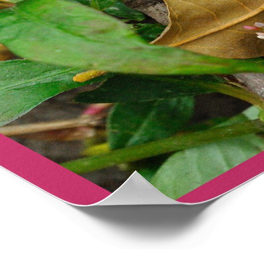 Amor Fati Poster (Ecke)