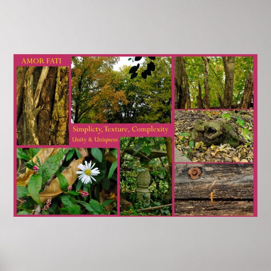 Amor Fati Poster (Vorne)