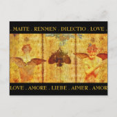 Amore Fresco Postcard Postkarte (Vorderseite)