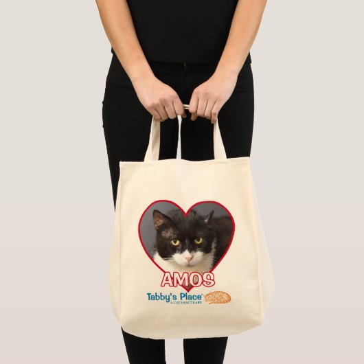 Amos - Baumwolllebensmittelgeschäft-Taschen-Tasche Tragetasche (Vorderseite (Produkt))