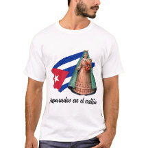 Amparados en el exilioi por la Caridad del Cobre