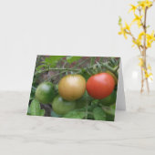 Ampel-Tomate-Gruß-Karte Karte (Gelbe Blume)