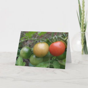 Ampel-Tomate-Gruß-Karte Karte