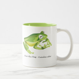 AmphibiaWeb Centrolene Tasse