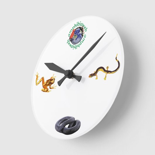 AmphibiaWeb Uhr (Winkel)