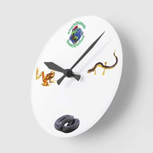 AmphibiaWeb Uhr (Winkel)