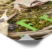 Amphibien ‚Frösche‘ Amphibien ‚Holzfrösche‘-Poster Poster (Ecke)