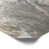 Amphibien Poster (Ecke)