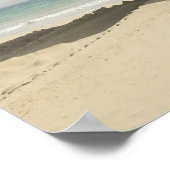 Amphibien Poster (Ecke)