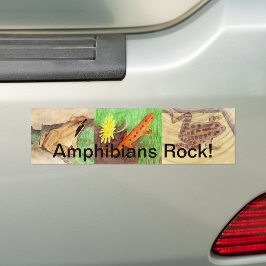 Amphibien Rock! Autoaufkleber (Auf Auto)