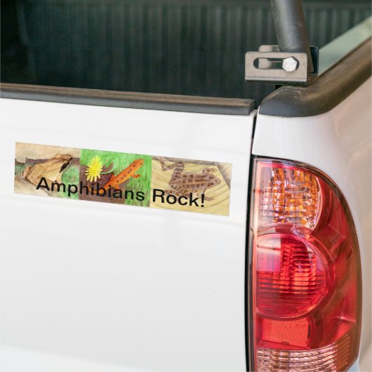 Amphibien Rock! Autoaufkleber (Auf Lkw)