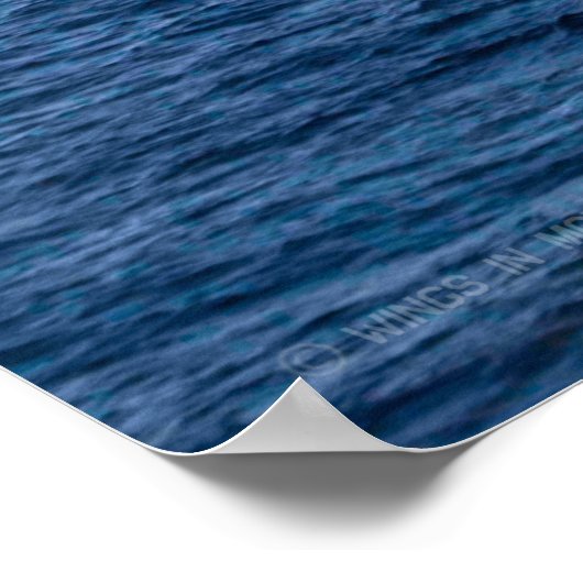 AMPHIBIOUS-ASSAULT-SCHIFF - LHD-2 POSTER (Ecke)