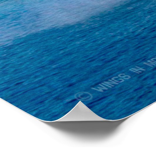 AMPHIBIOUS-ASSAULT-SCHIFF - LHD-8 POSTER (Ecke)