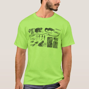 Amphibisch Evolution T-Shirt