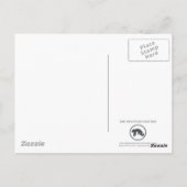 Amphibische Postkarte 01 (Rückseite)