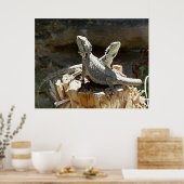 Amphion und Zethus Poster (Küche)