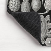 "Amphoridea, oder Star-Animals" Mousepad (Ecke)