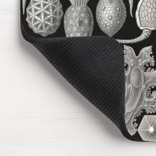 "Amphoridea, oder Star-Animals" Mousepad (Ecke)