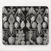 "Amphoridea, oder Star-Animals" Mousepad (Vorne)