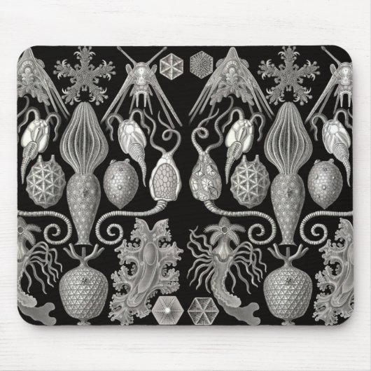 "Amphoridea, oder Star-Animals" Mousepad (Vorne)