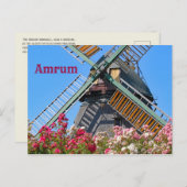 Amrum Windmill, Nebel, Nordfriesland, Deutschland Postkarte (Vorne/Hinten)