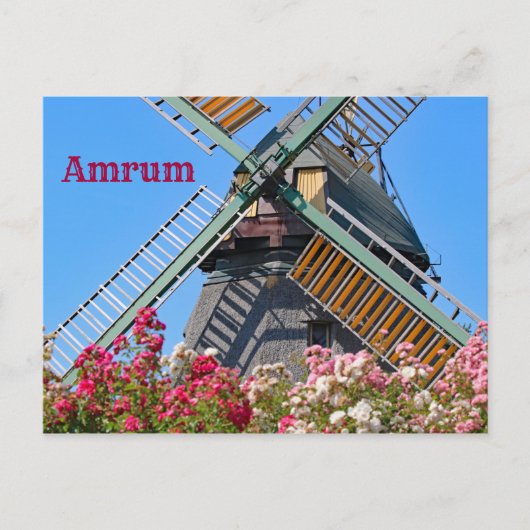 Amrum Windmill, Nebel, Nordfriesland, Deutschland Postkarte (Vorderseite)