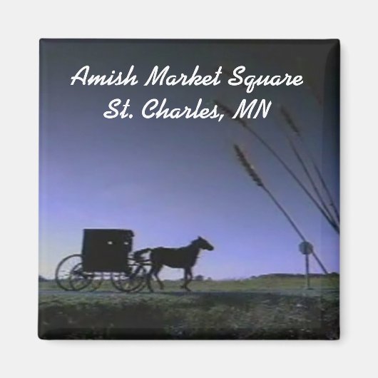 AMS-Magnet Magnet (Vorne)