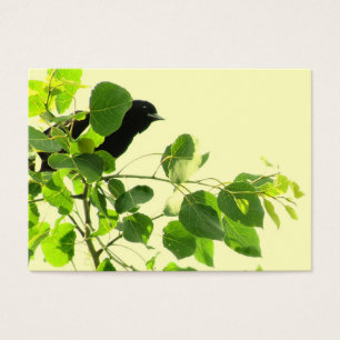 Amsel ATC