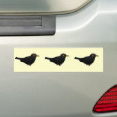 Amsel Autoaufkleber (Auf Auto)