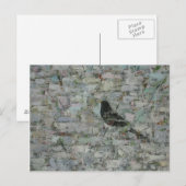 Amsel im Baum Postkarte (Vorne/Hinten)