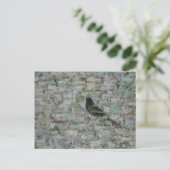 Amsel im Baum Postkarte (Stehend Vorderseite)