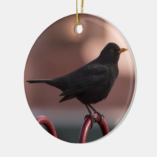 Amsel Keramikornament (Links)
