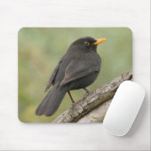 Amsel Mousepad (Mit Mouse)