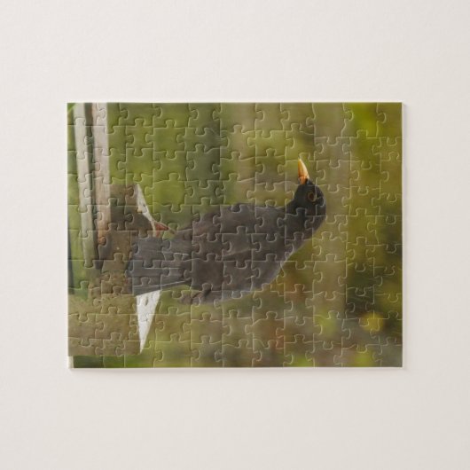Amsel-Puzzlespiel Puzzle (Horizontal)