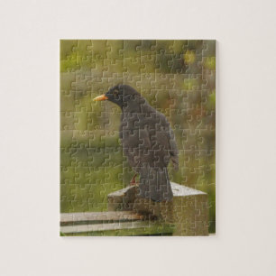 Amsel-Puzzlespiel Puzzle