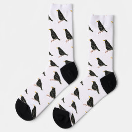 Amsel Socken