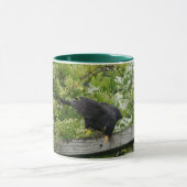 Amsel-Tasse Tasse (Zentrum)