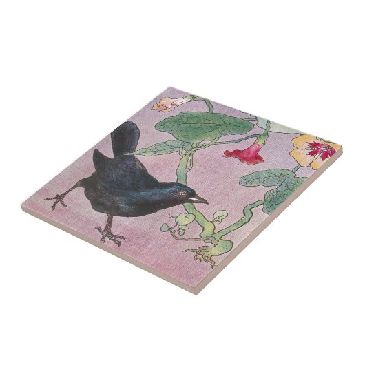 Amsel und Kapuzinerkäse Fliese (Seite)