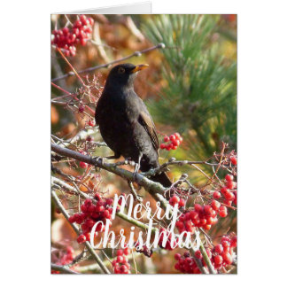 Amsel-Weihnachtskarte