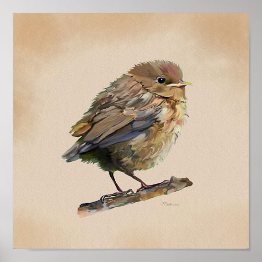 Amselnestling` Poster (Vorne)