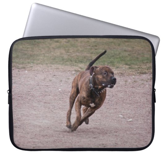 Amstaff Laptopschutzhülle (Vorderseite)
