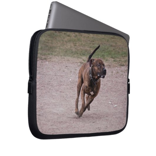 Amstaff Laptopschutzhülle (Vorne Rechts)