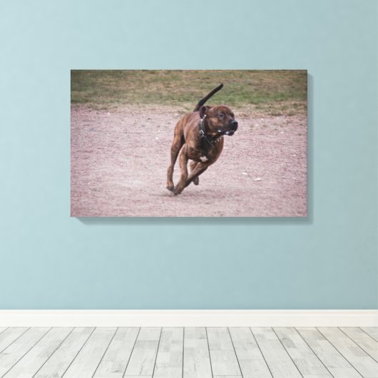 Amstaff Leinwanddruck (Insitu (Holzboden))