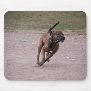 Amstaff Mousepad