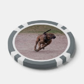 Amstaff Pokerchips (Einzeln)