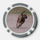 Amstaff Pokerchips (Rückseite)