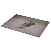 Amstaff Schneidebrett (Ecke)